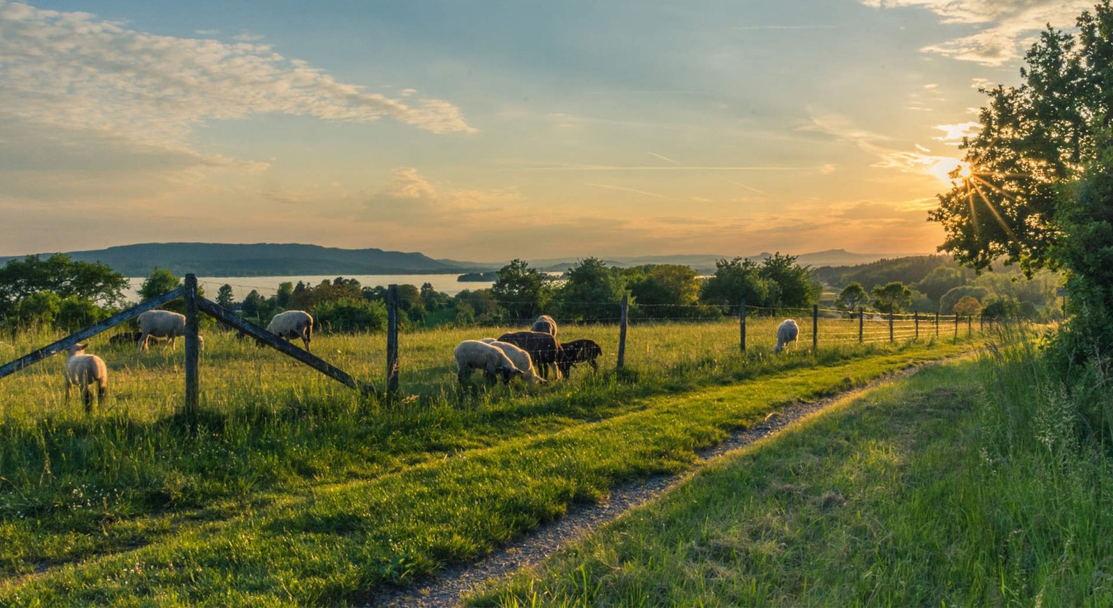 Environmental Health and Safety Policy